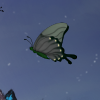 They flutter carelessly above your dog.